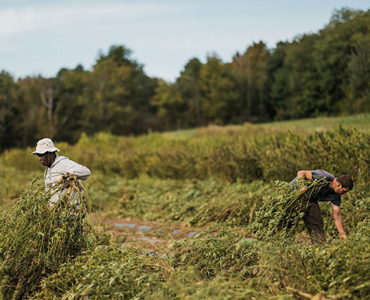 NYCGPA-Growers-Membership
