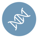 Graphic illustration of a dna molecule used to represent our Laboratory members. The background is medium blue with a white illustration in the center.