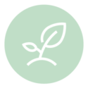 Graphic illustration of a sprouted plant with one large and one small leaf used to represent our Nursery members. The background is light green with a white illustration in the center.