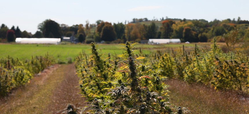 Legislature proposes spending millions to help legal cannabis industry