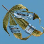 Wilting cannabis leaf covered in 3 Metrc stickers